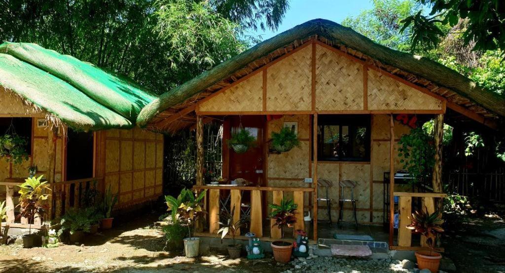 Traditional Filipino Transient House And Huts Near 100 Islands Wharf Alaminos Buitenkant foto